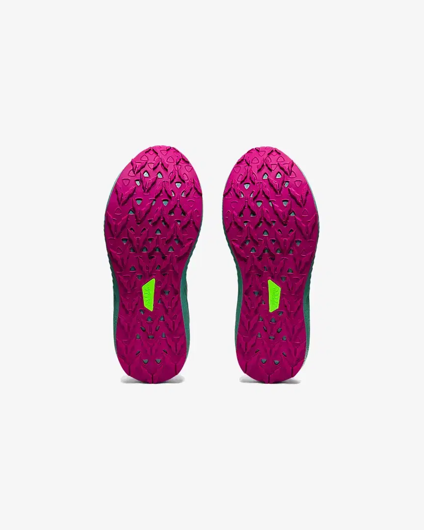 ASICS Fuji Lite 2 W - 1012B066-002 (1) au meilleur prix !