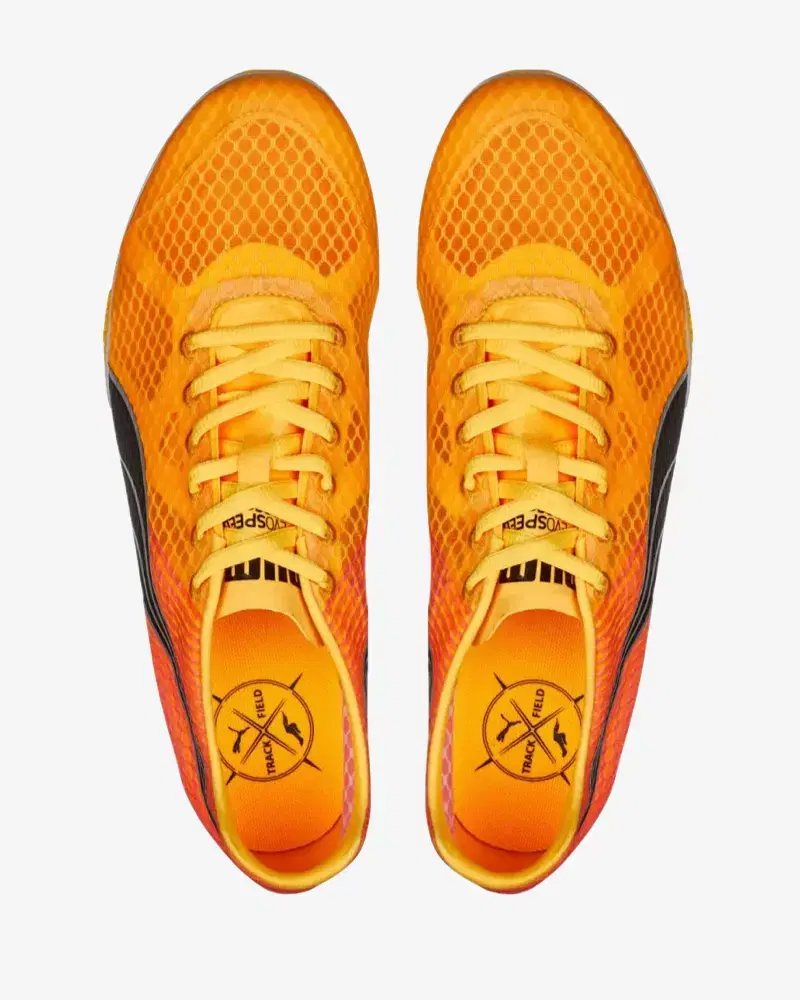 Puma EvoSPEED Crossfox 4 - 37700801 (3) au meilleur prix !