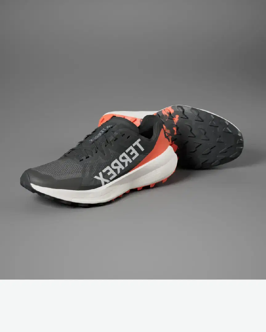 Adidas Terrex Agravic Speed M - Men (11) au meilleur prix !