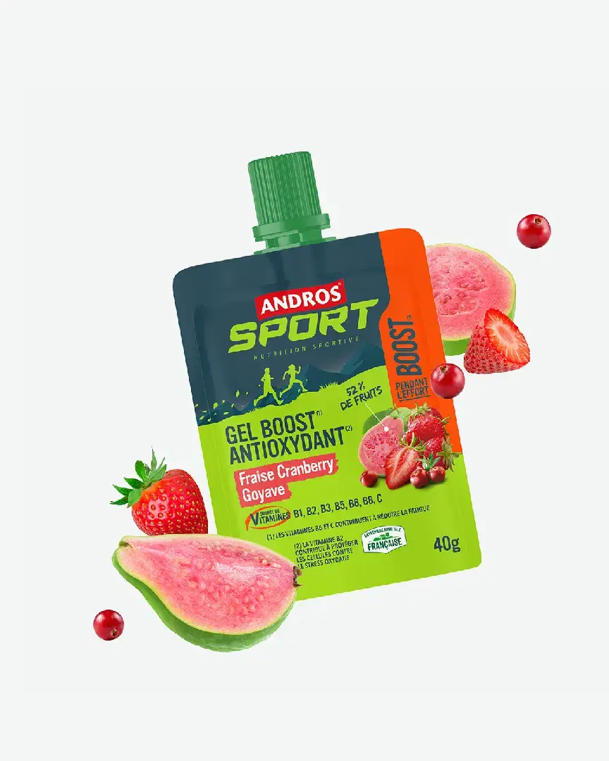 Andros Gel Boost Antioxydant Fraise Cranberry Goyave 40G - 50129264 (0) au meilleur prix !