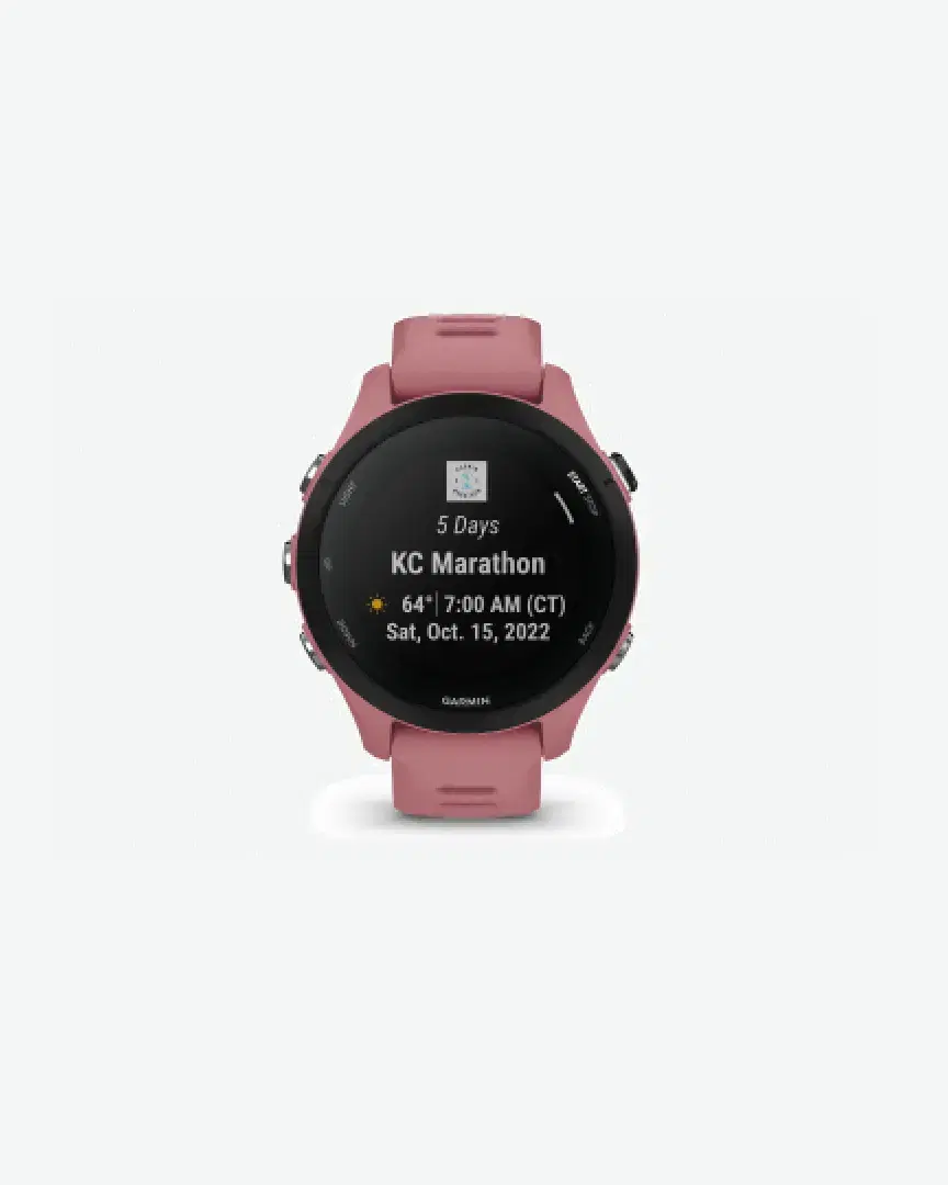Garmin Forerunner 255S - 010-02641-13 (2) au meilleur prix !