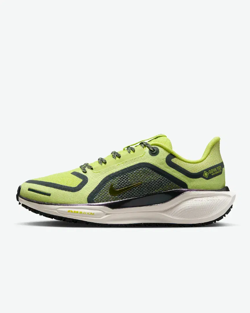 Imperméable Nike Pegasus 41 Gore-Tex W - Women (18) au meilleur prix !