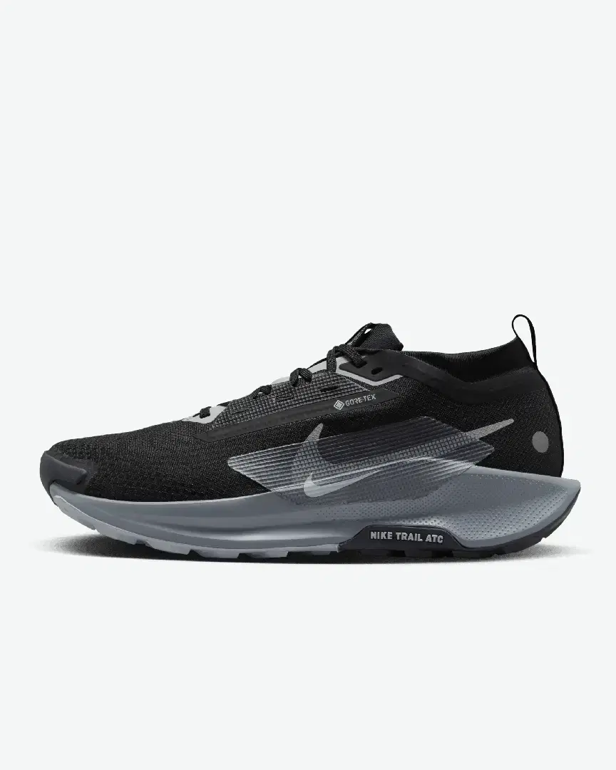 Nike Pegasus Trail 5 Gore-Tex M - Men (26) au meilleur prix !