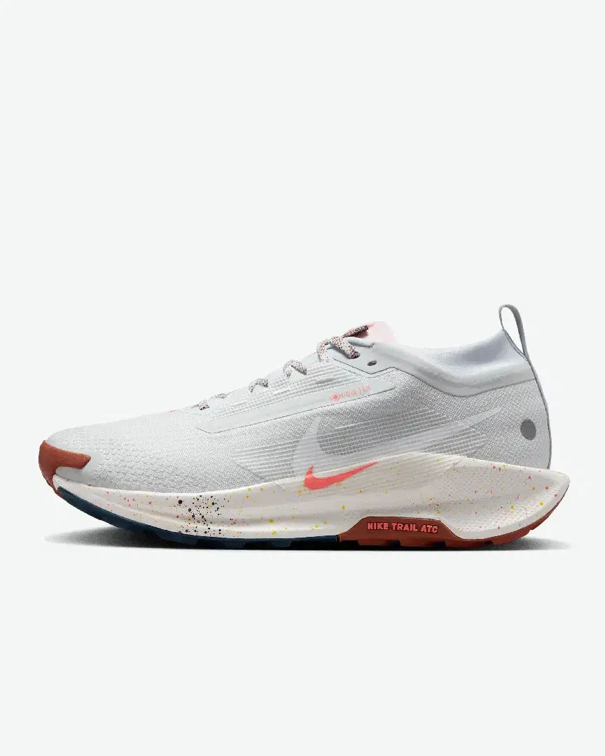 Nike Pegasus Trail 5 Gore-Tex M - Men (25) au meilleur prix !