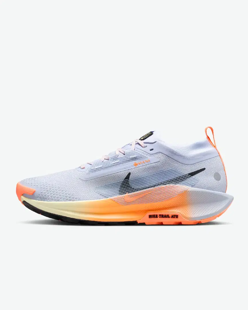Nike Pegasus Trail 5 Gore-Tex M - Men (32) au meilleur prix !