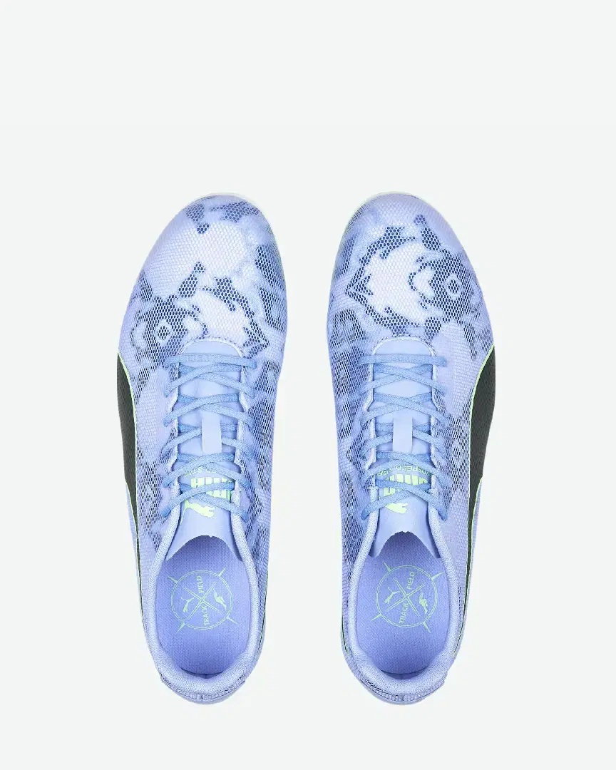 Puma evoSPEED Star 8 M - 377959-02 (8) au meilleur prix !