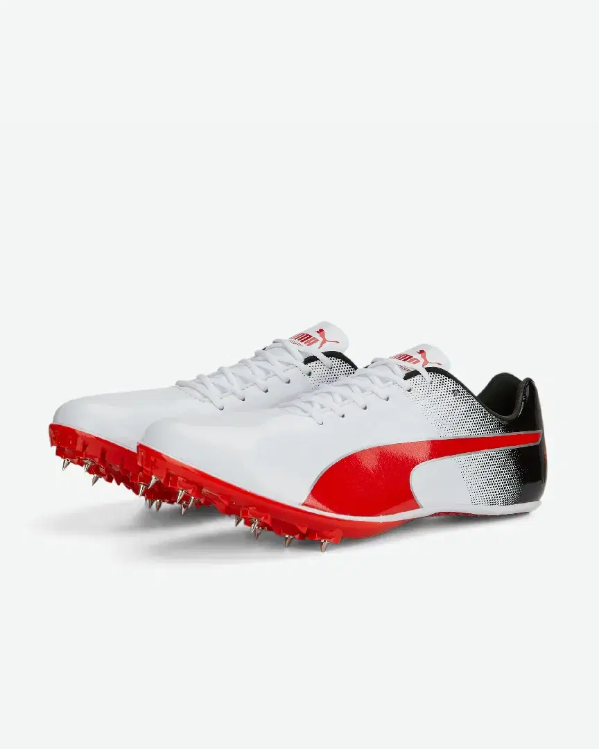 Puma evoSPEED Tokyo Nitro M - 377001-03 (4) au meilleur prix !