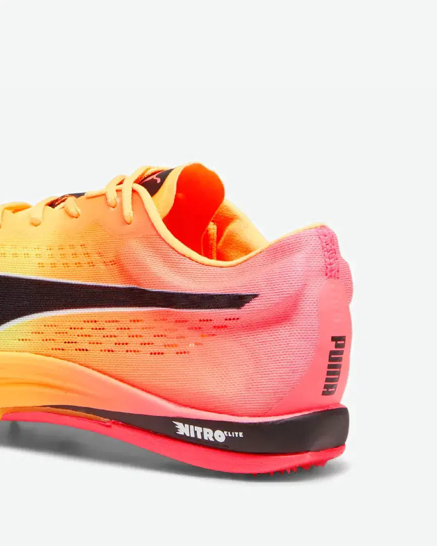 Puma Longue Distance Evospeed Nitro Elite+ - 378222-03 (2) au meilleur prix !