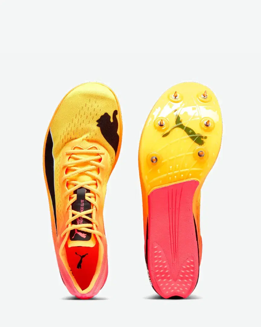 Puma Longue Distance Evospeed Nitro Elite+ - 378222-03 (3) au meilleur prix !