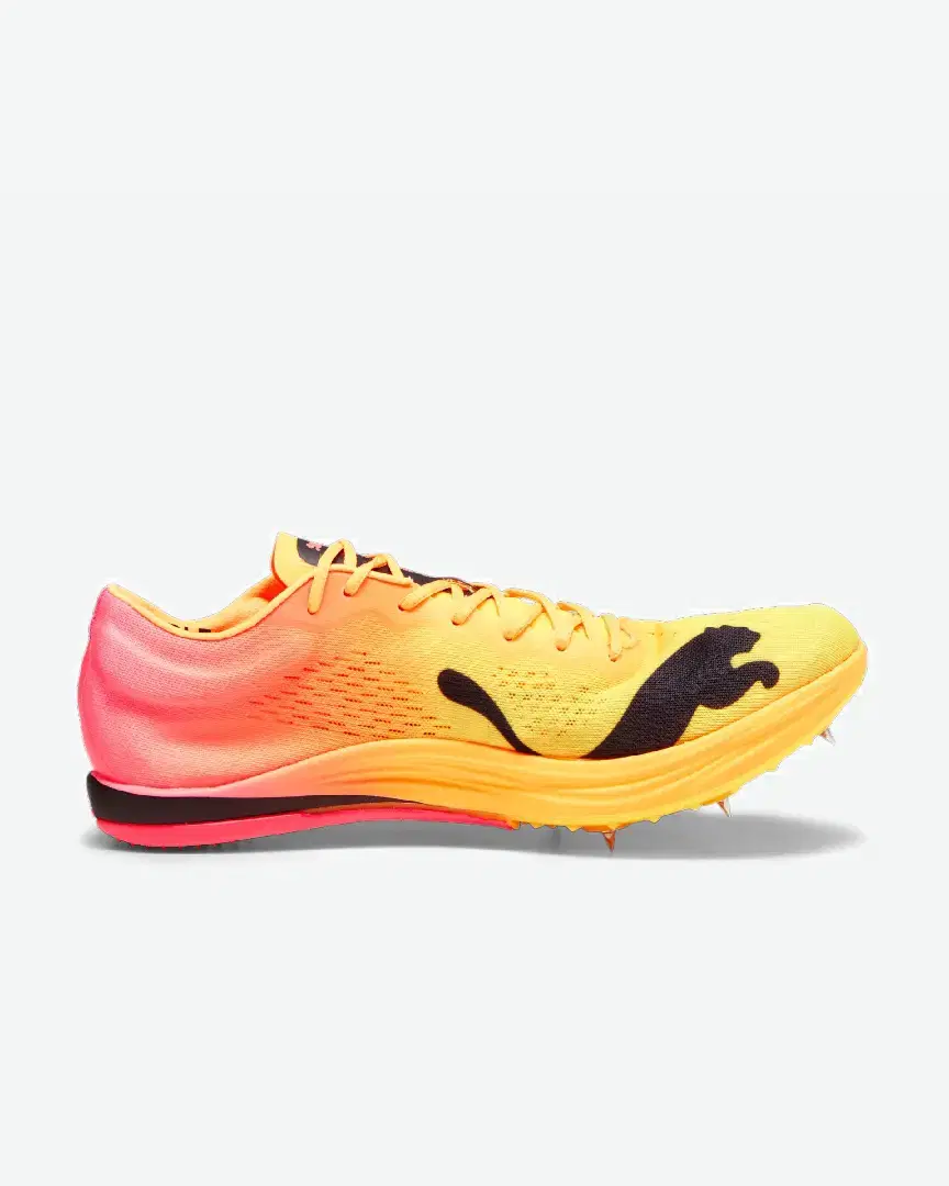 Puma Longue Distance Evospeed Nitro Elite+ - 378222-03 (4) au meilleur prix !