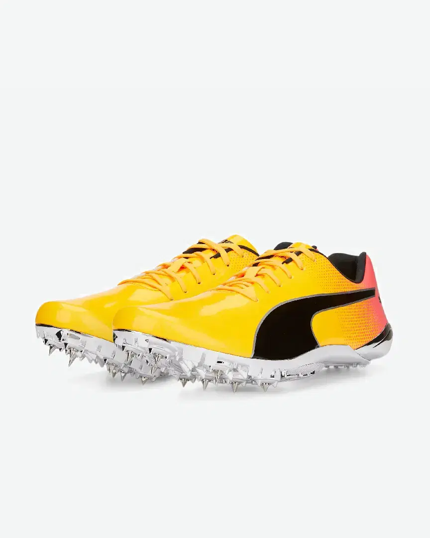 Puma evoSPEED Electric 13 - 377000-01 (1) au meilleur prix !