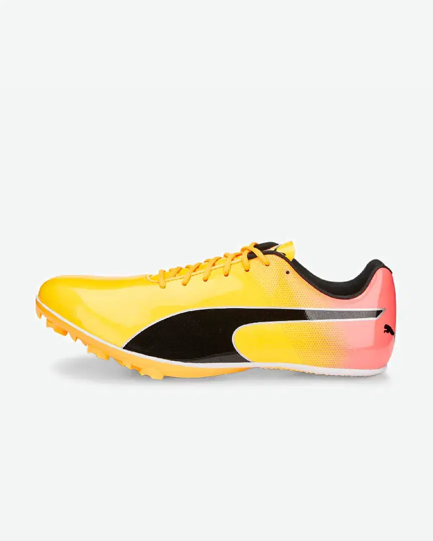 Puma Evospeed Sprint 14 - 377001-01 (1) au meilleur prix !