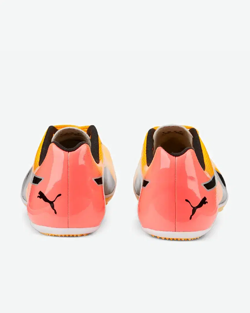 Puma Evospeed Sprint 14 - 377001-01 (2) au meilleur prix !