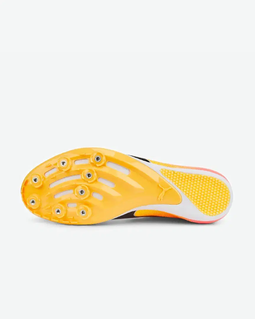 Puma Evospeed Sprint 14 - 377001-01 (3) au meilleur prix !