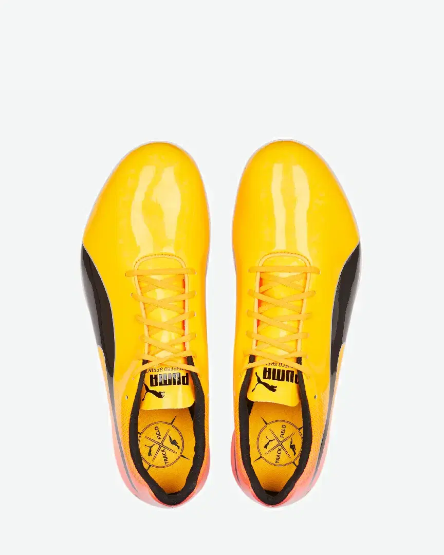 Puma Evospeed Sprint 14 - 377001-01 (5) au meilleur prix !