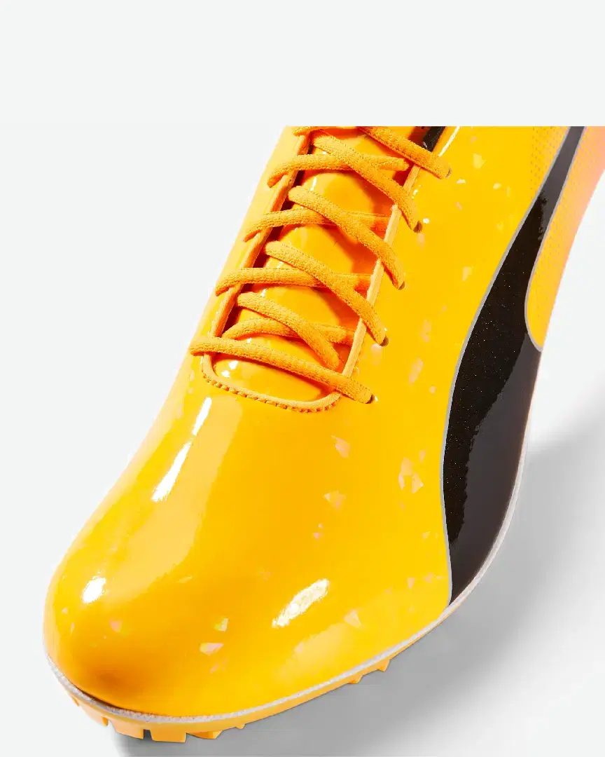 Puma Evospeed Sprint 14 - 377001-01 (6) au meilleur prix !