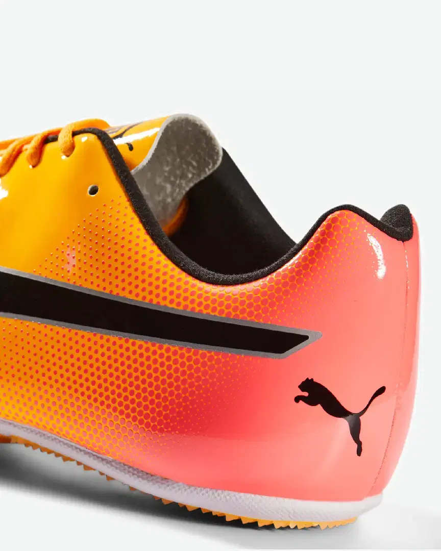 Puma Evospeed Sprint 14 - 377001-01 (8) au meilleur prix !