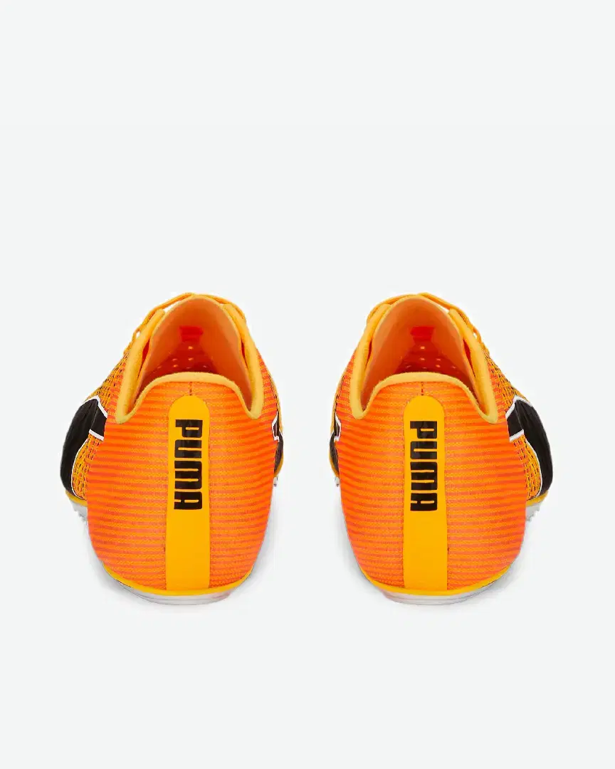 Puma evoSPEED TOKYO BRUSH 4 - 376998-01 (2) au meilleur prix !