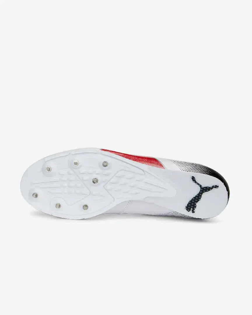 Puma Long Jump 10 Evospeed - 377002-02 (6) au meilleur prix !