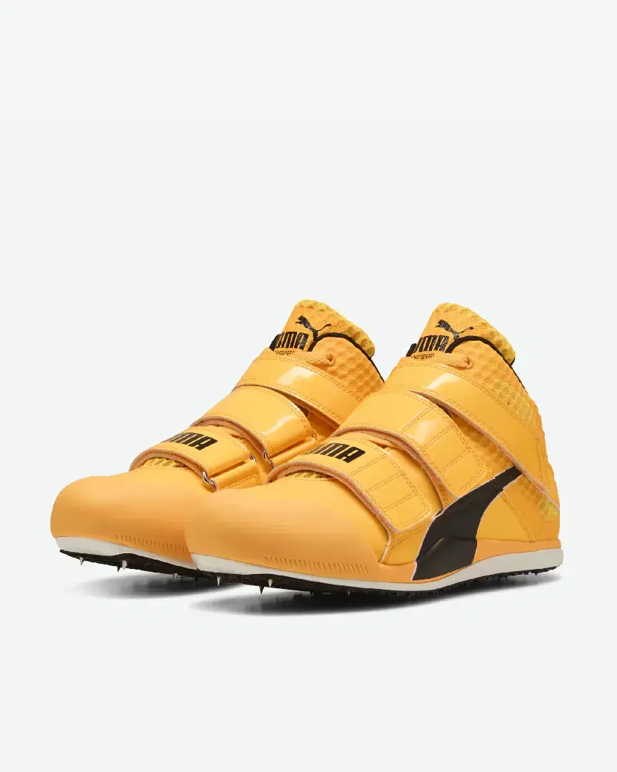 Puma De Javelot Evospeed Elite 2.0 M - 309938-02 (1) au meilleur prix !