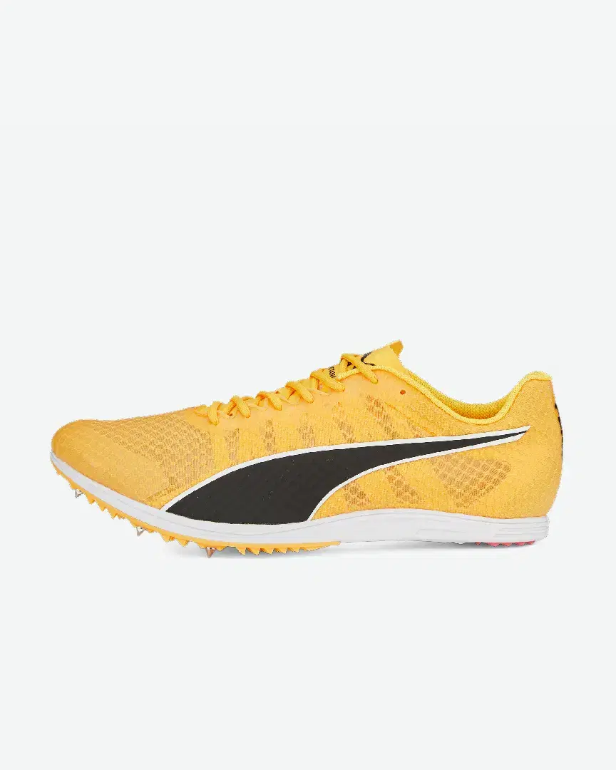 S Evospeed Distance 11 - 377961-01 (0) au meilleur prix !