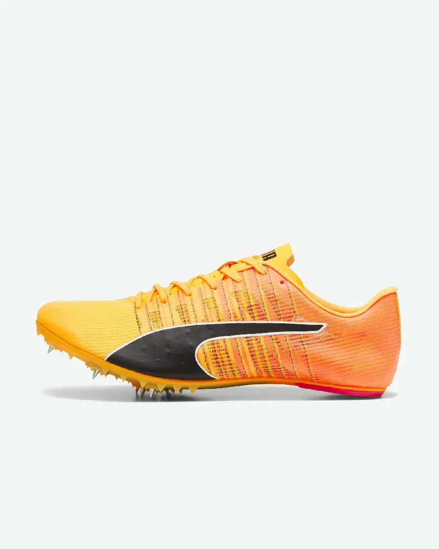 S Evospeed Future 6 - 380023-01 (0) au meilleur prix !