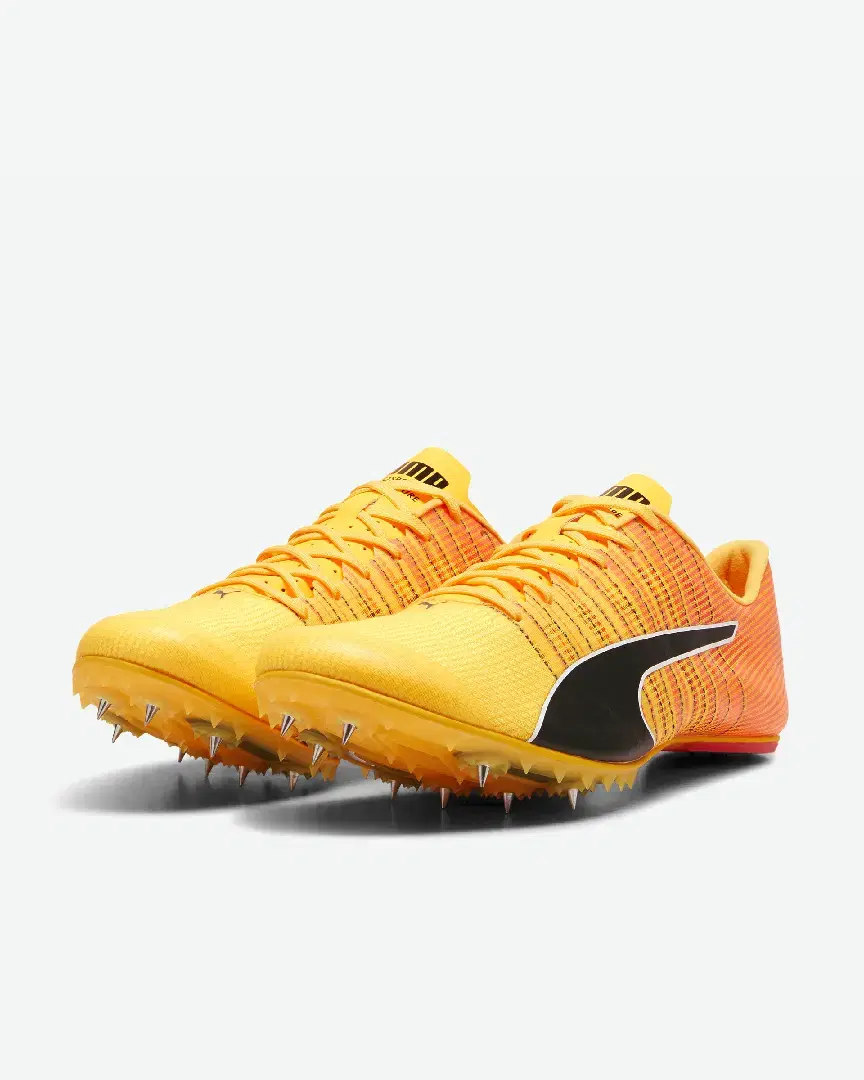 S Evospeed Future 6 - 380023-01 (1) au meilleur prix !