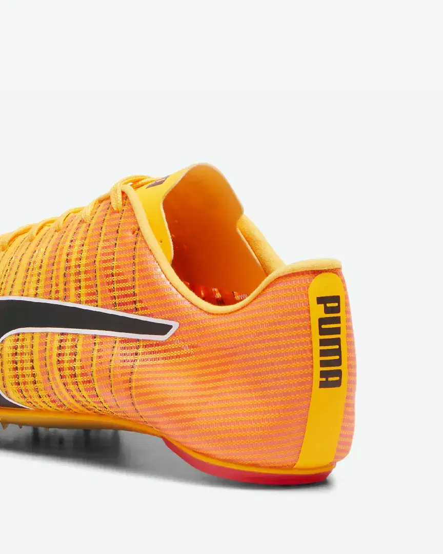 S Evospeed Future 6 - 380023-01 (2) au meilleur prix !