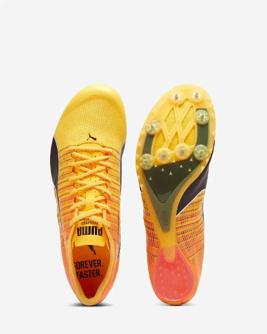 S Evospeed Future 6 - 380023-01 (3) au meilleur prix !