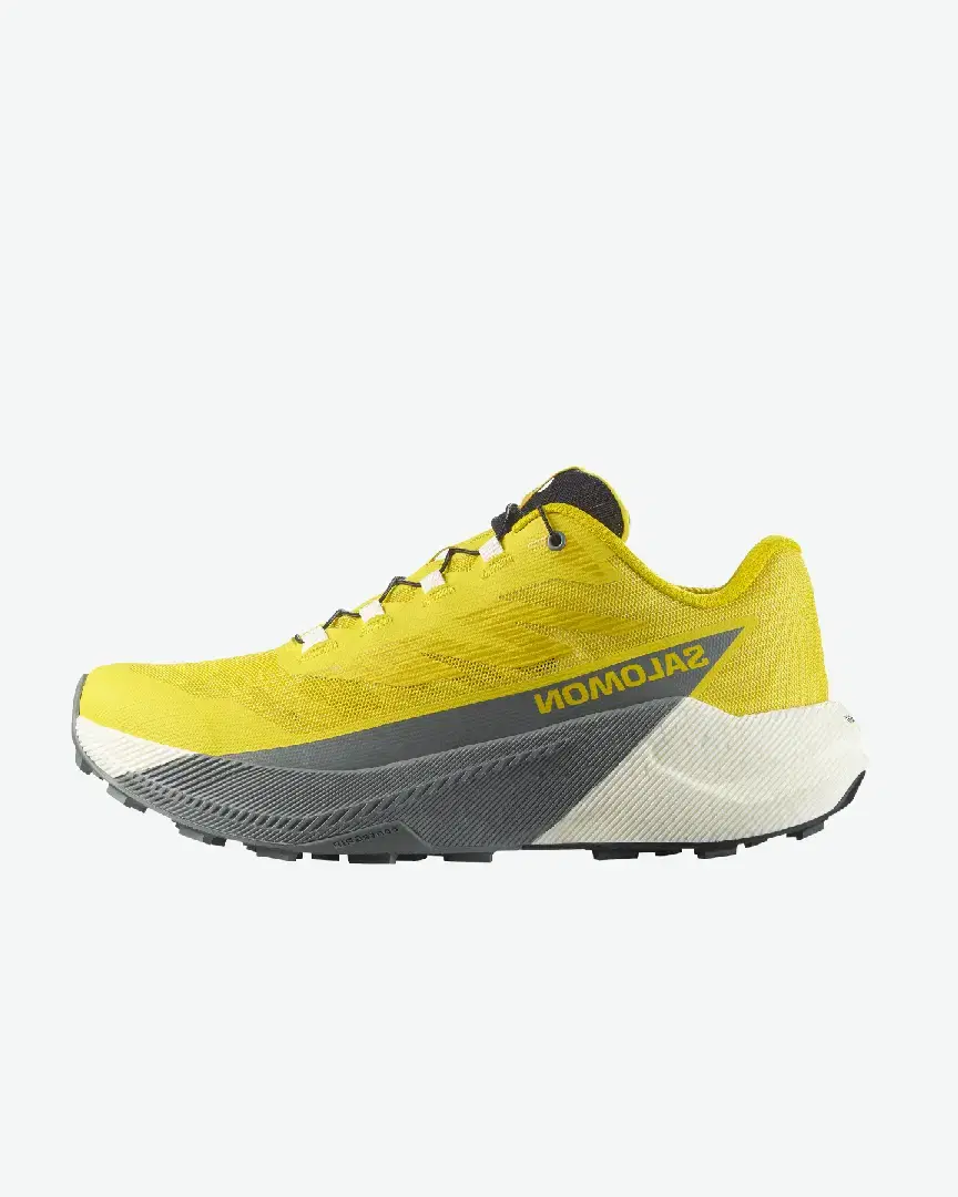 Salomon Pulsar M - Men (6) au meilleur prix !