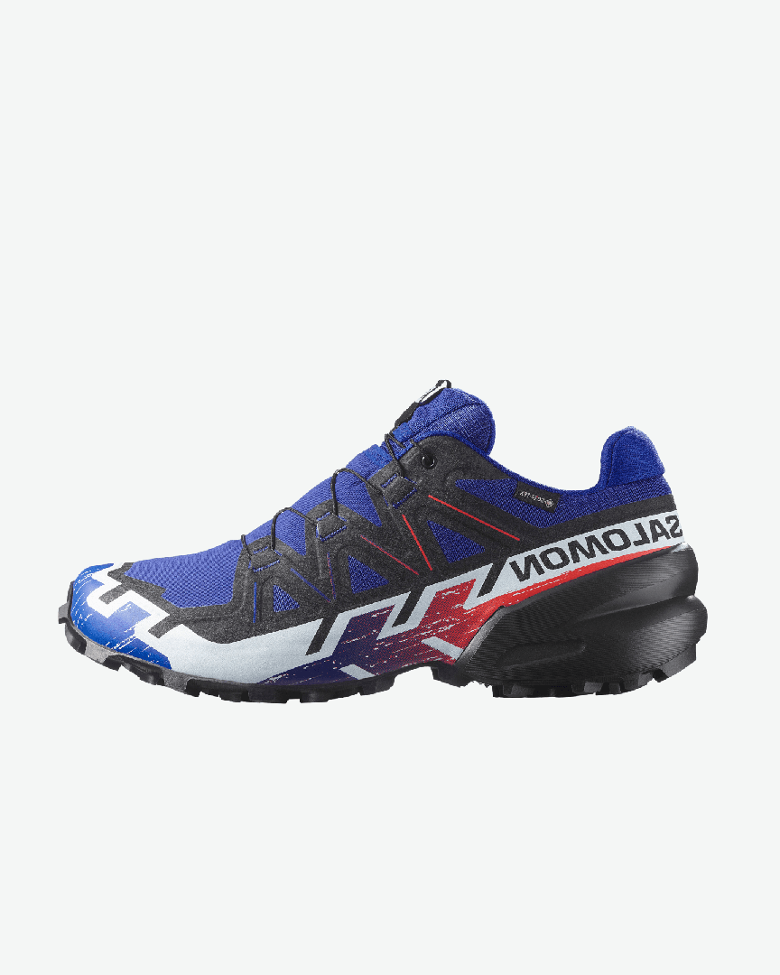 Salomon Speedcross 6 Gtx Equipe